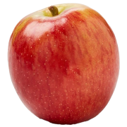 653