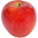Daliclass2